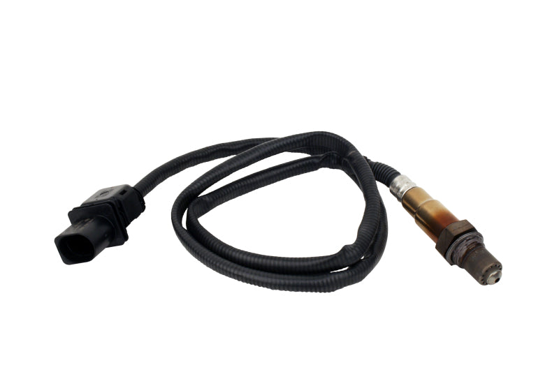 AEM Electronics Oxygen Sensor