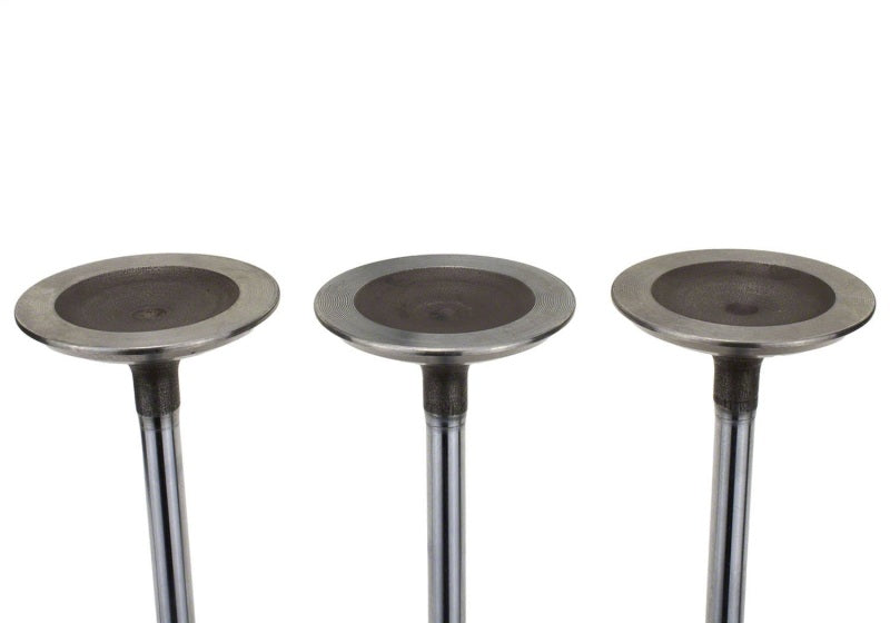 Ford Racing Coyote 5.2L Lightweight Intake Valve - Set of 8 M-6507-M52