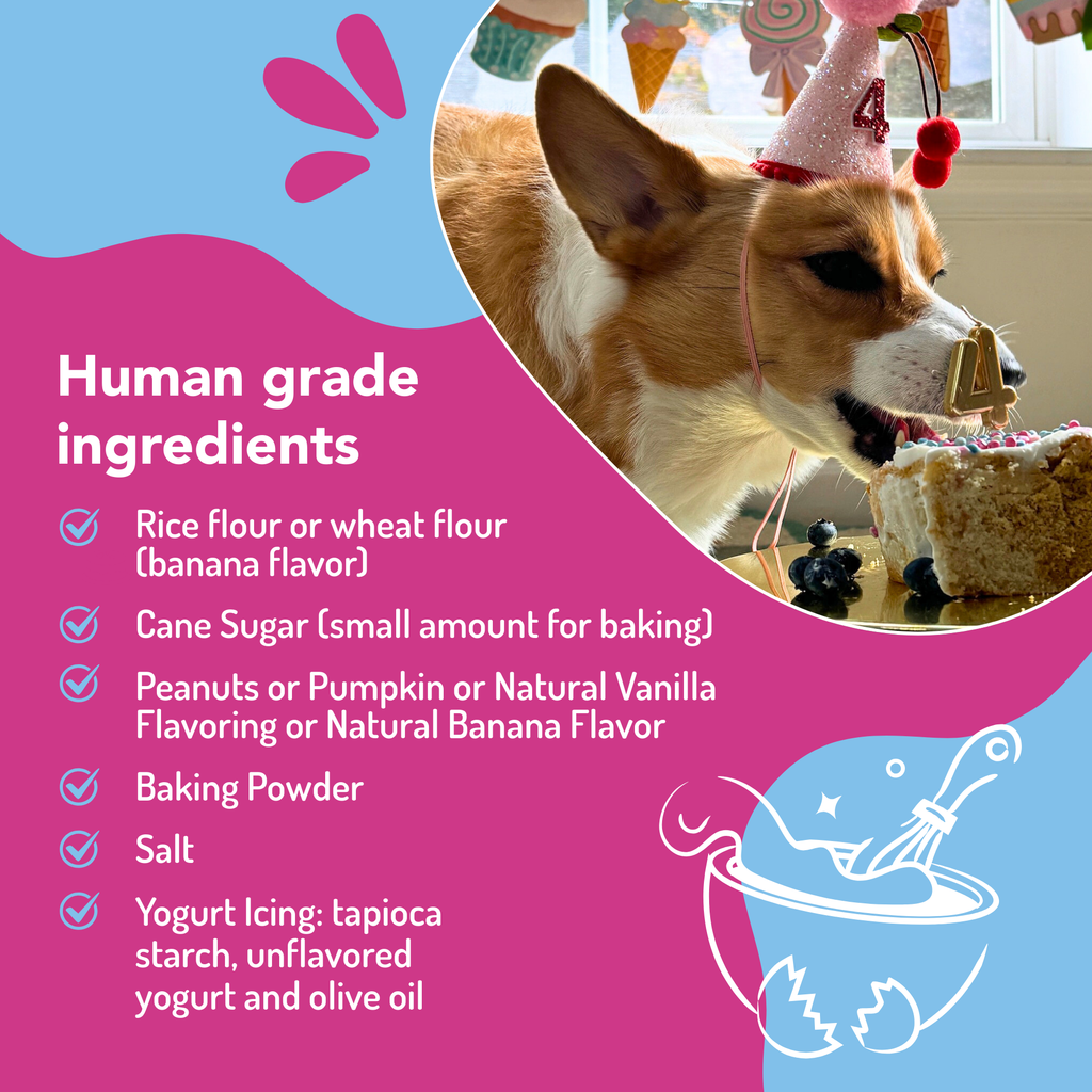 🎂🐾Dog Birthday Cake Kit
