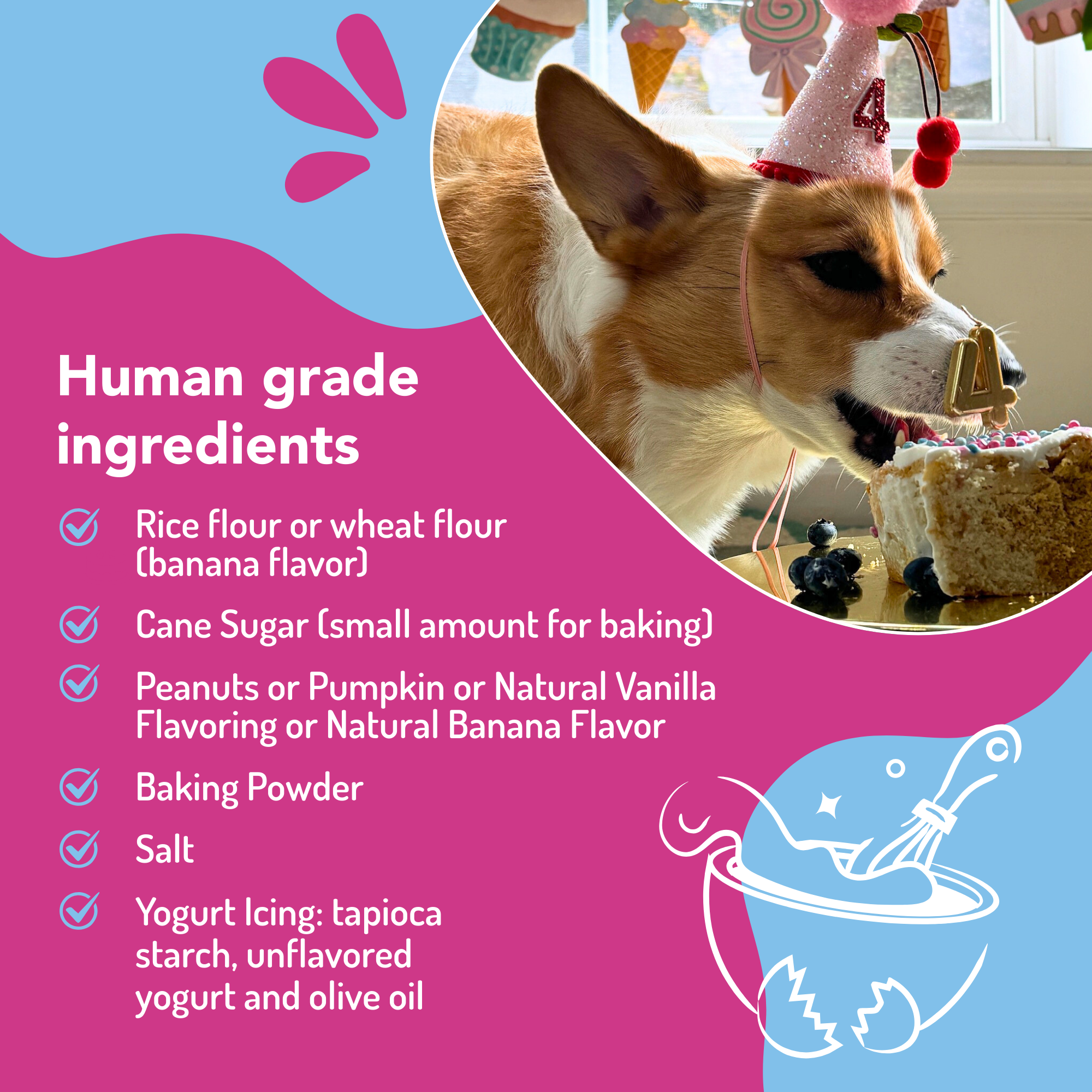 🎂🐾Dog Birthday Cake Kit
