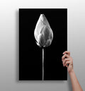 Black and White Lotus Bud Close Up Aluminum Print