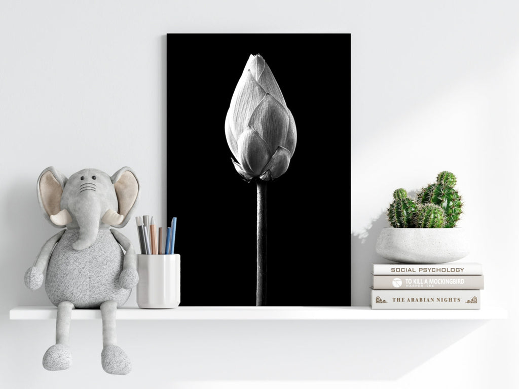 Black and White Lotus Bud Close Up Aluminum Print