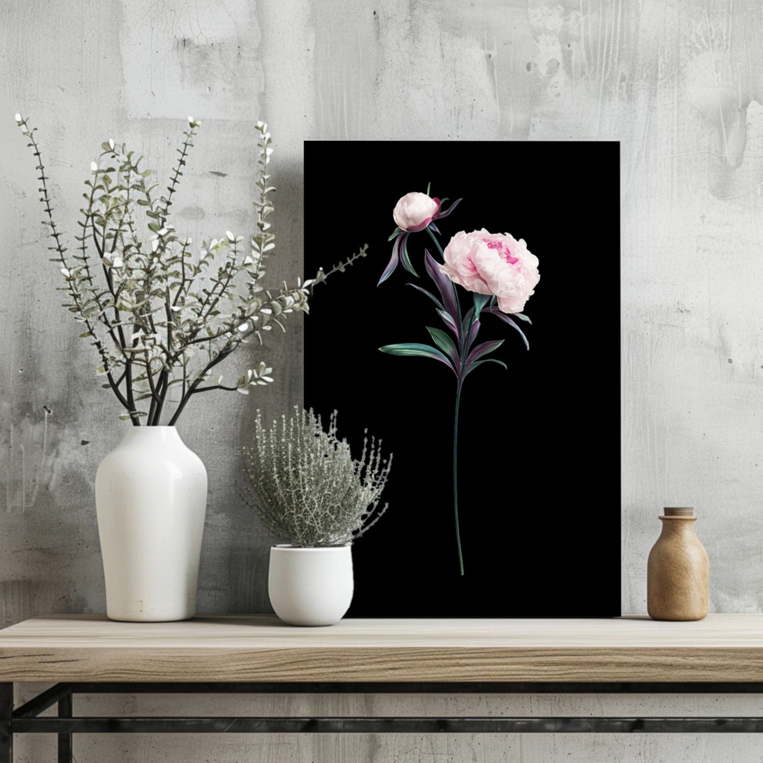 Pink Peony Stem on Black Backdrop Aluminum Print