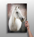 Soft Mist White Horse Portrait Aluminum Print