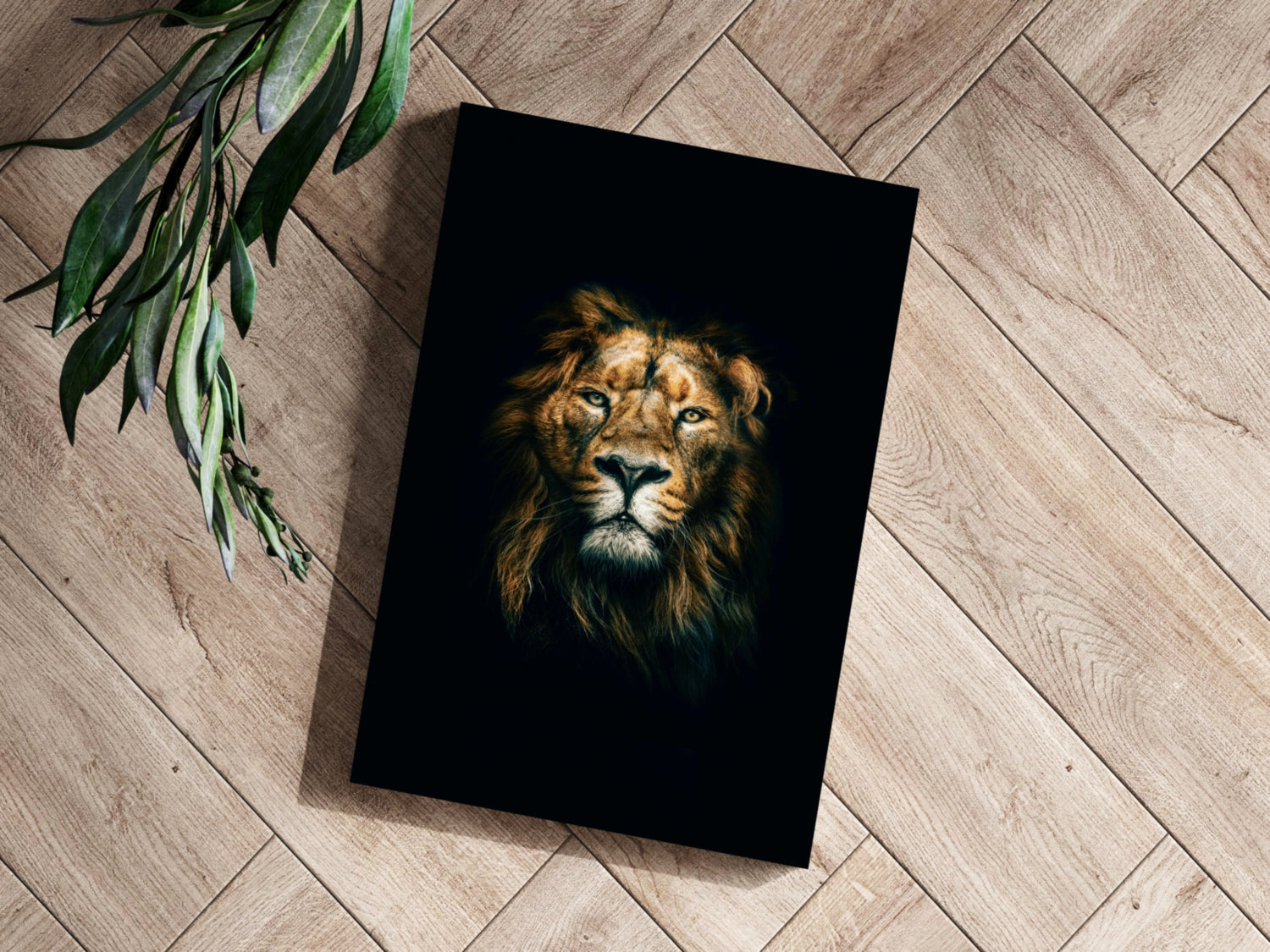Dramatic Dark Lion Portrait Aluminum Print