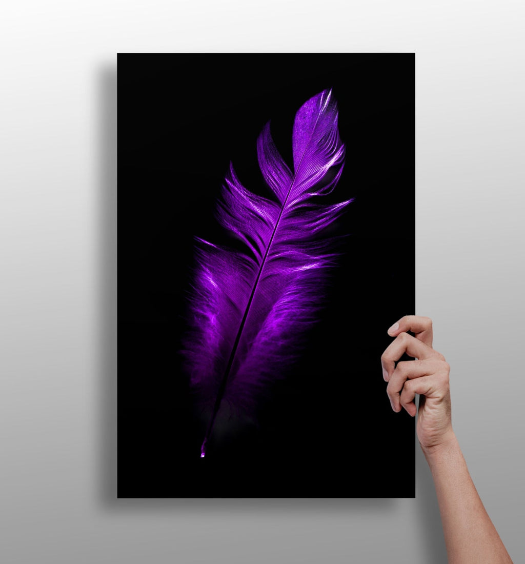 Vivid Violet Feather On Black Backdrop Aluminum Print