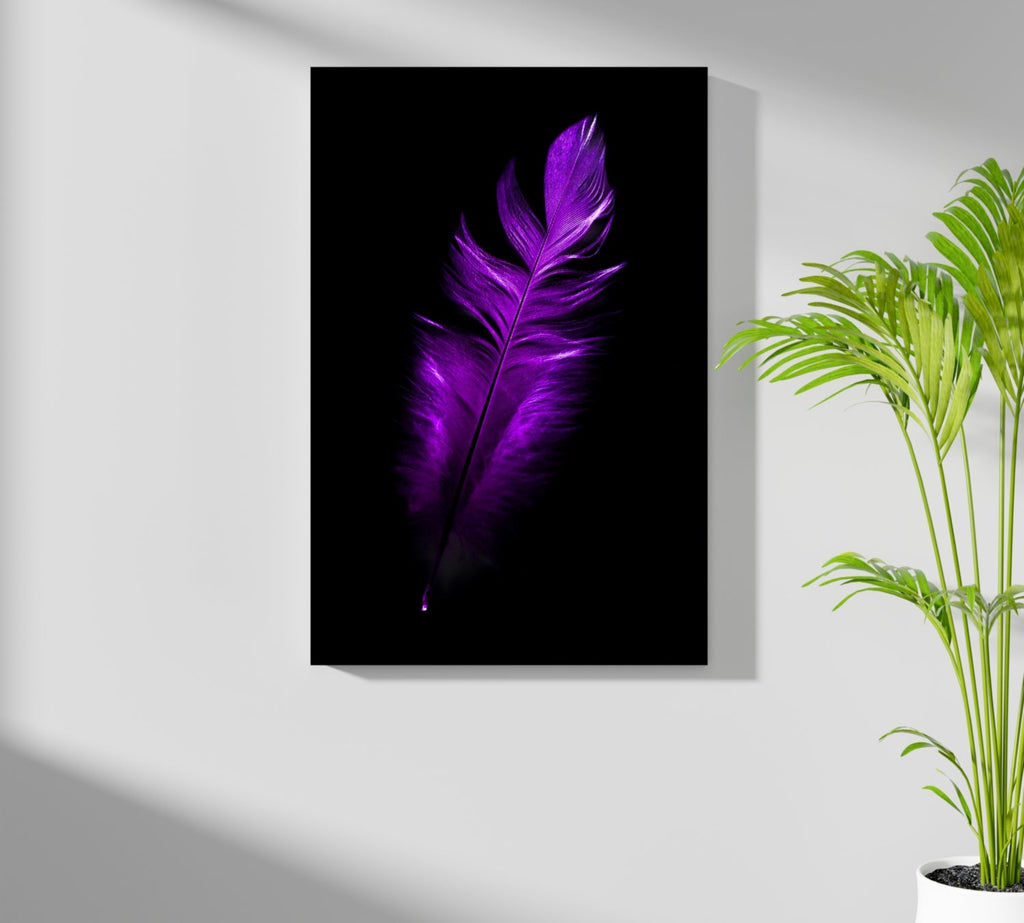 Vivid Violet Feather On Black Backdrop Aluminum Print