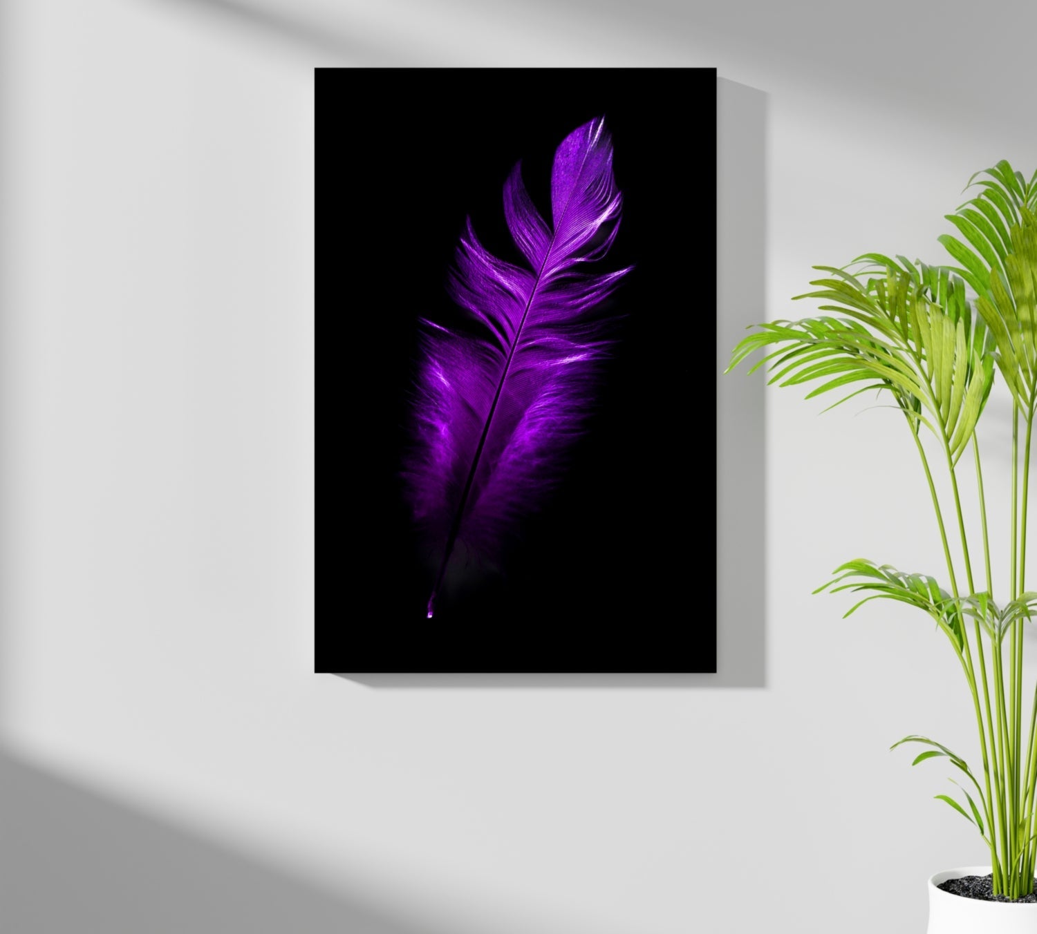 Vivid Violet Feather On Black Backdrop Aluminum Print