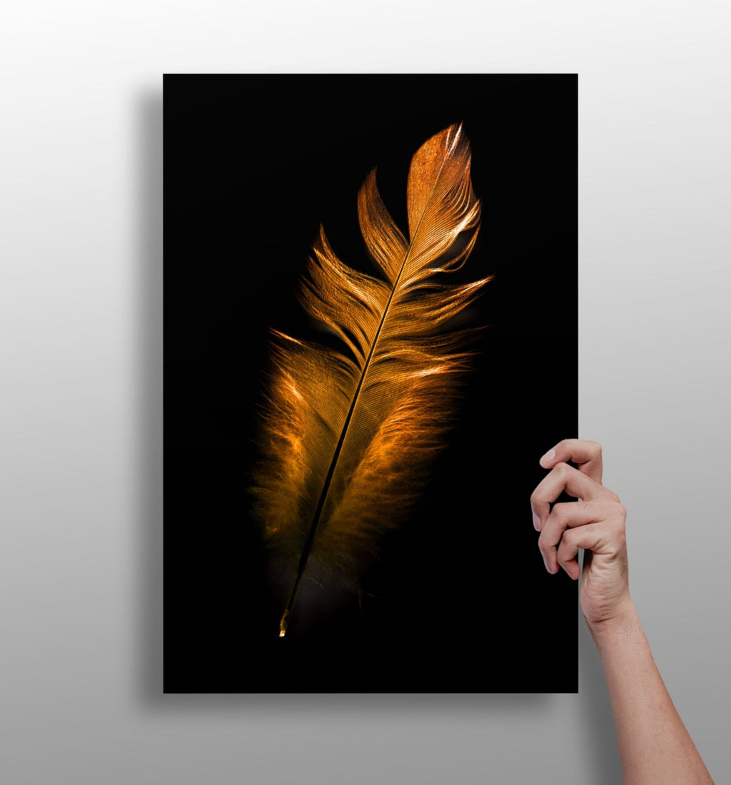 Single Bronze Feather On Black Aluminum Print