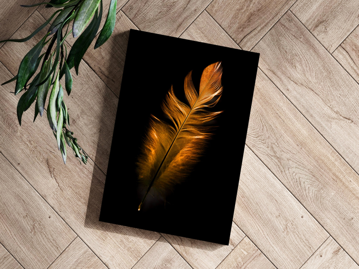 Single Bronze Feather On Black Aluminum Print