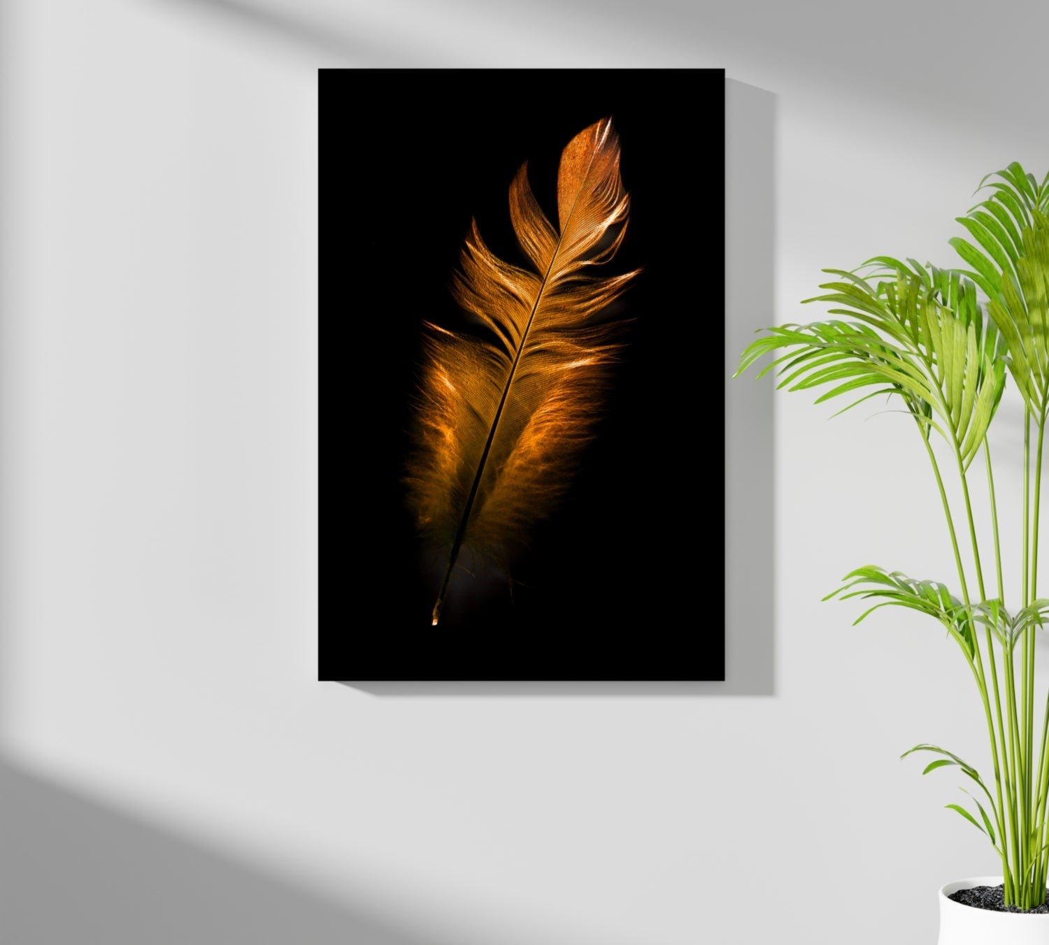Single Bronze Feather On Black Aluminum Print