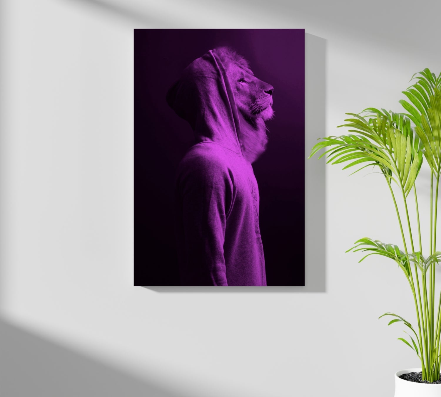 Purple Lion in Hoodie Aluminum Print