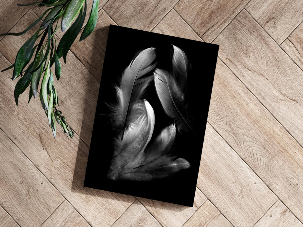 White Feather Cluster On Black Aluminum Print