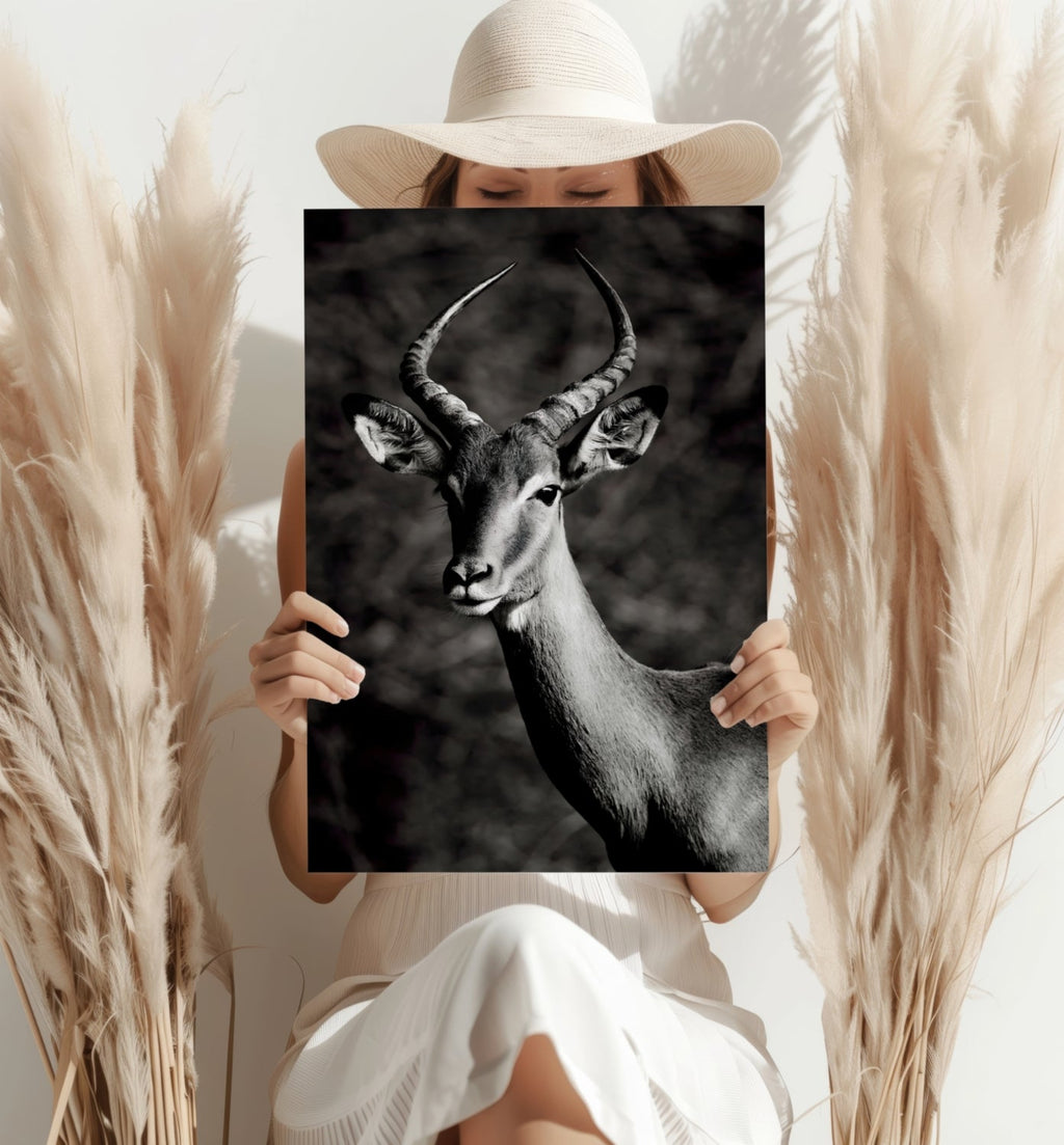 Black And White Impala Antelope Aluminum Print