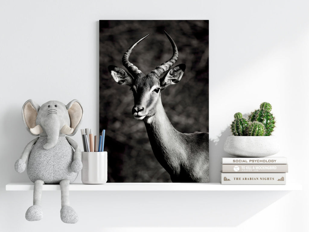Black And White Impala Antelope Aluminum Print