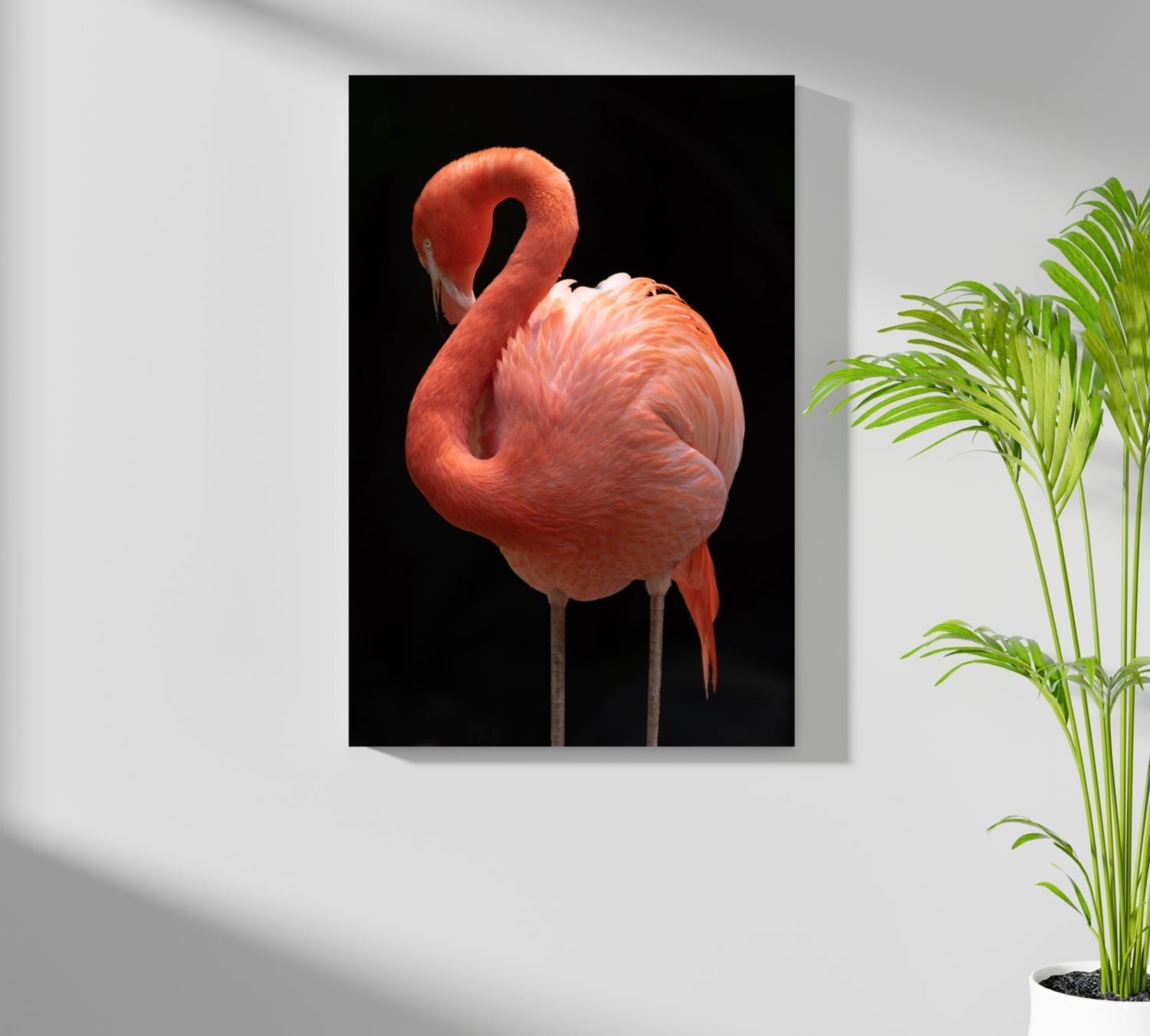 Coral Flamingo Curved Neck Aluminum Print
