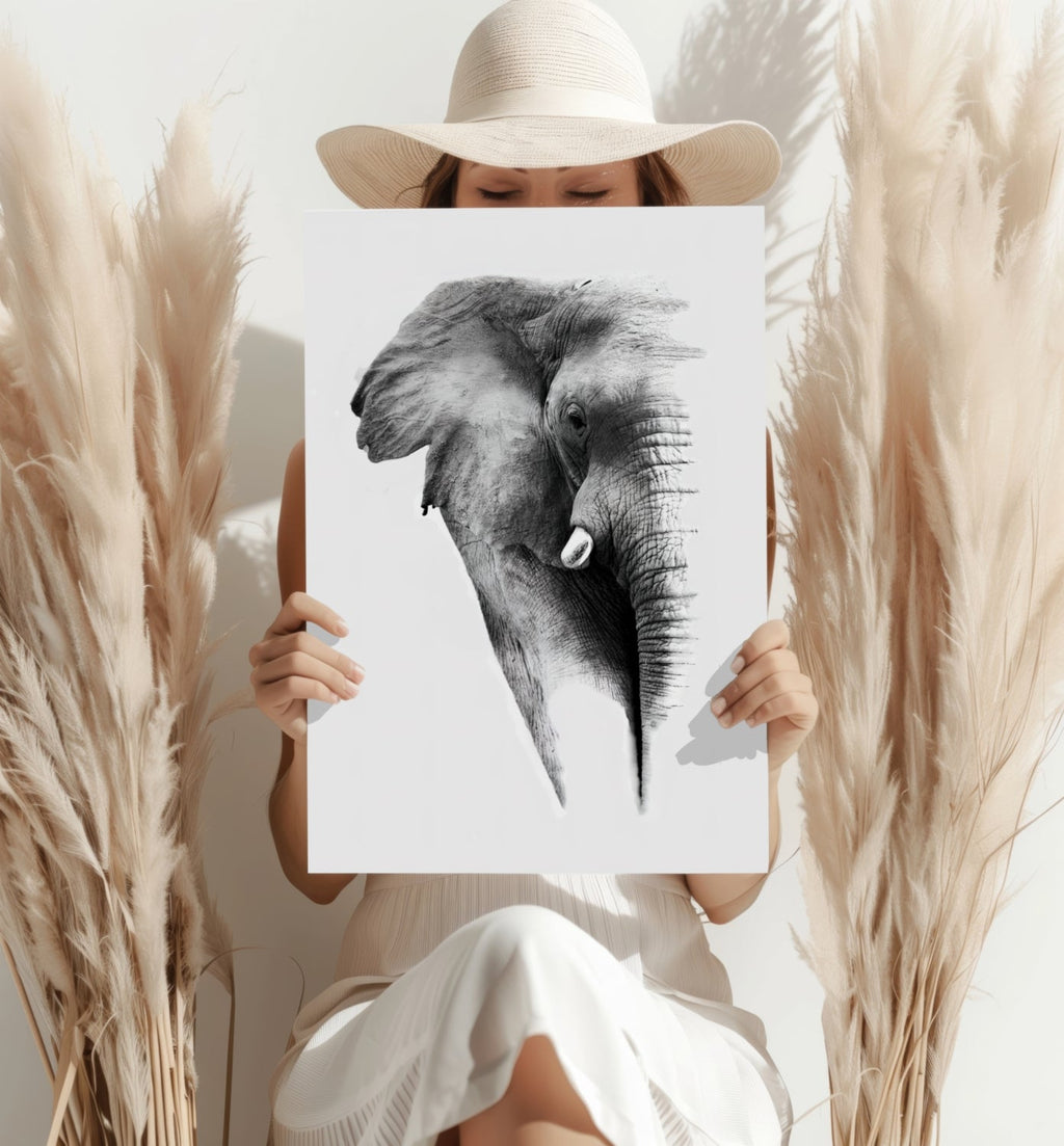 Soft Pencil Sketch Fading Elephant Head Aluminum Print