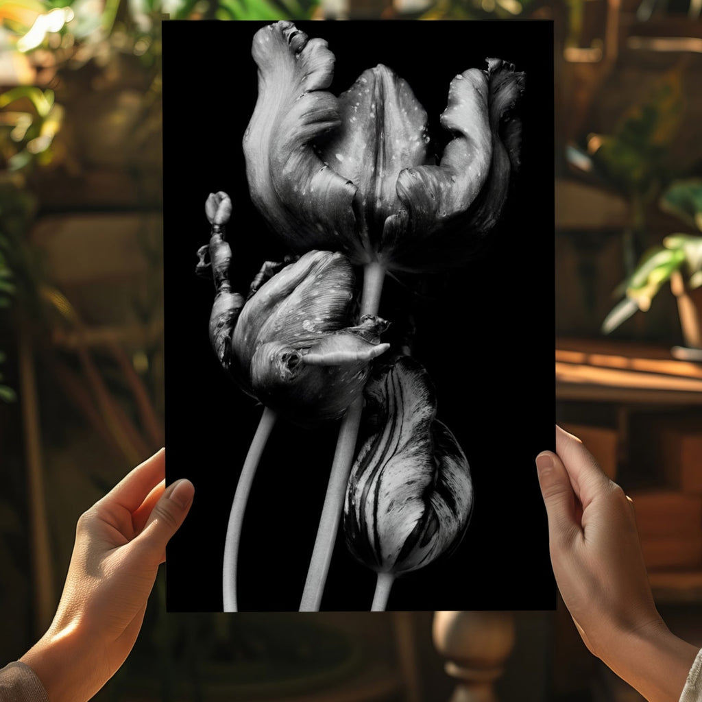 Silver Parrot Tulips Noir Aluminum Print