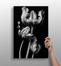 Silver Parrot Tulips Noir Aluminum Print