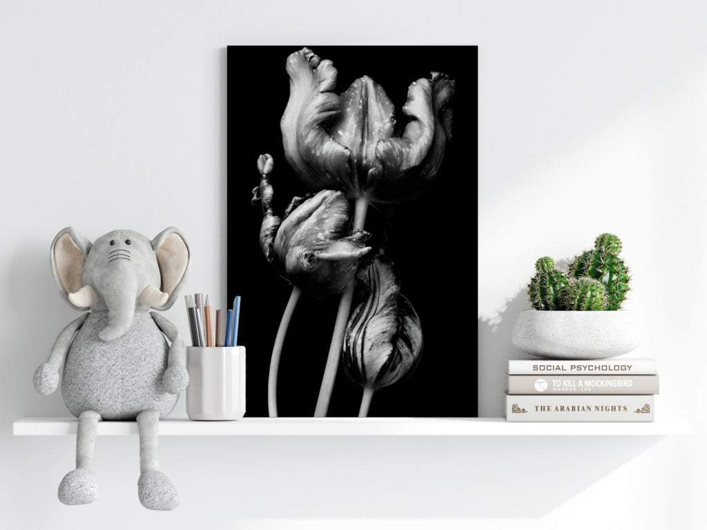 Silver Parrot Tulips Noir Aluminum Print