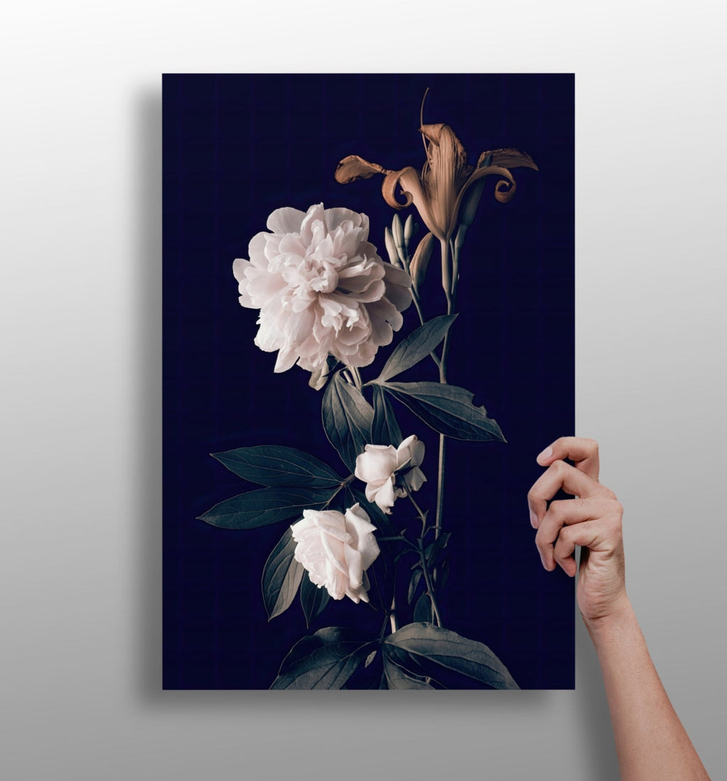 White Peony Navy Backdrop Aluminum Print