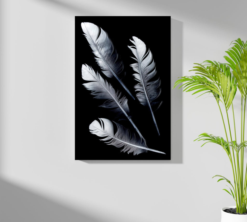 Four Silver Quill Feathers Black Aluminum Print