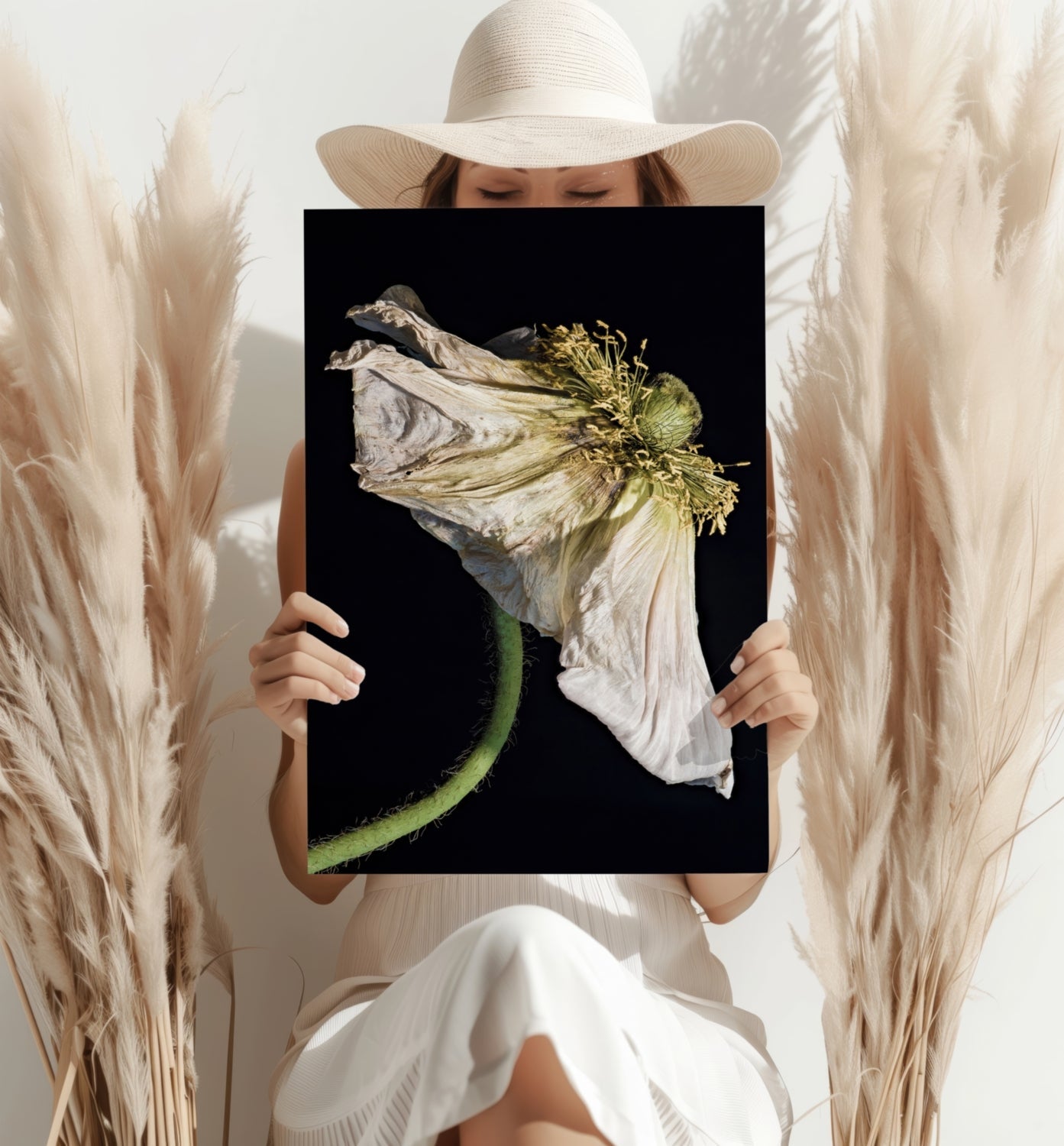 Wilted White Poppy on Black Aluminum Print
