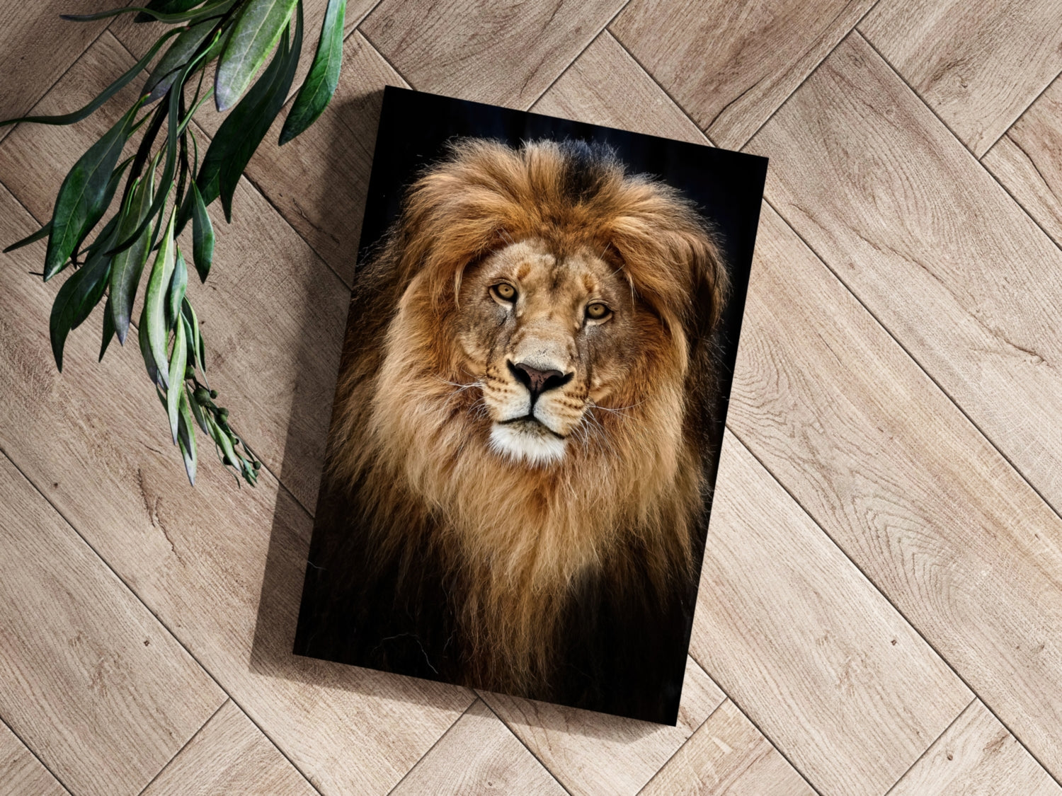 Majestic Golden Lion Portrait Aluminum Print