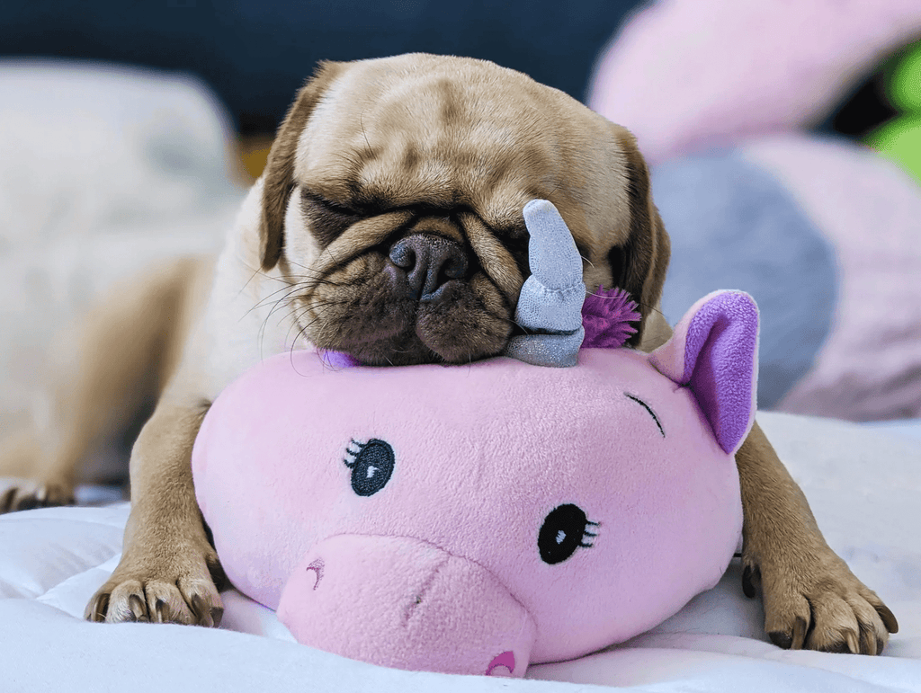 BOGO! Small Squishy Cuddlers Super Soft Plush Pet Toys: Squeak & NO Squeak