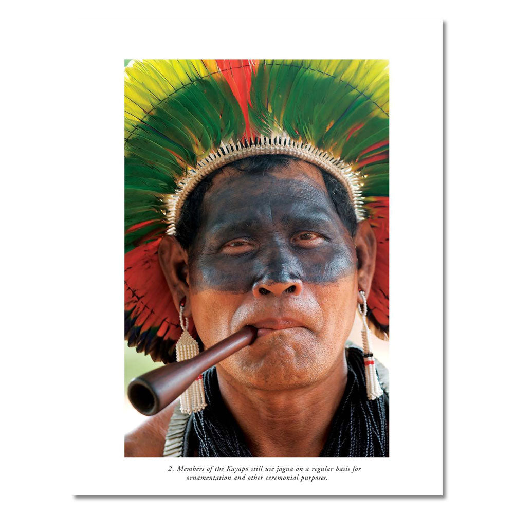 Jagua