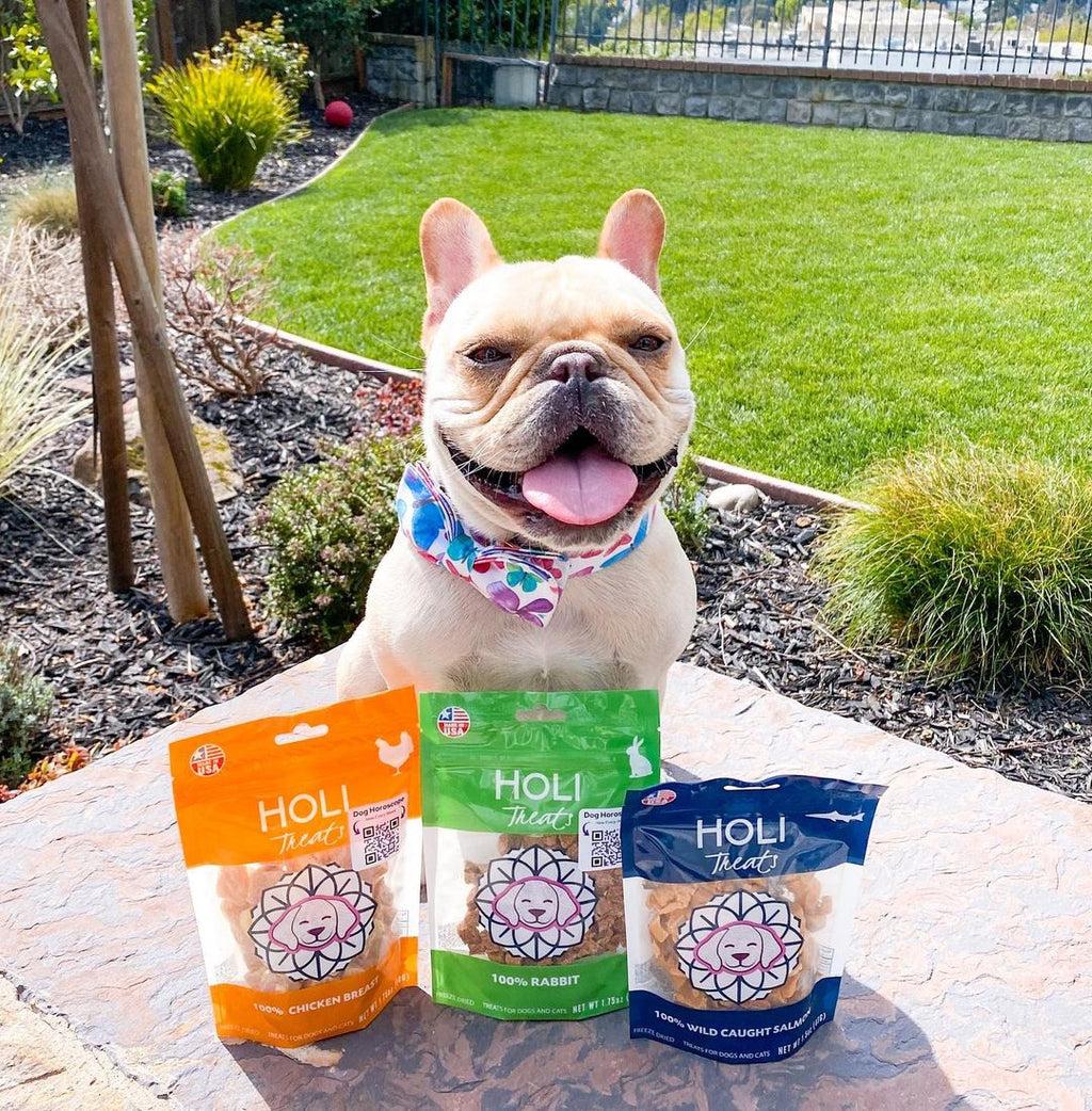 Chicken Breast Dog Treats