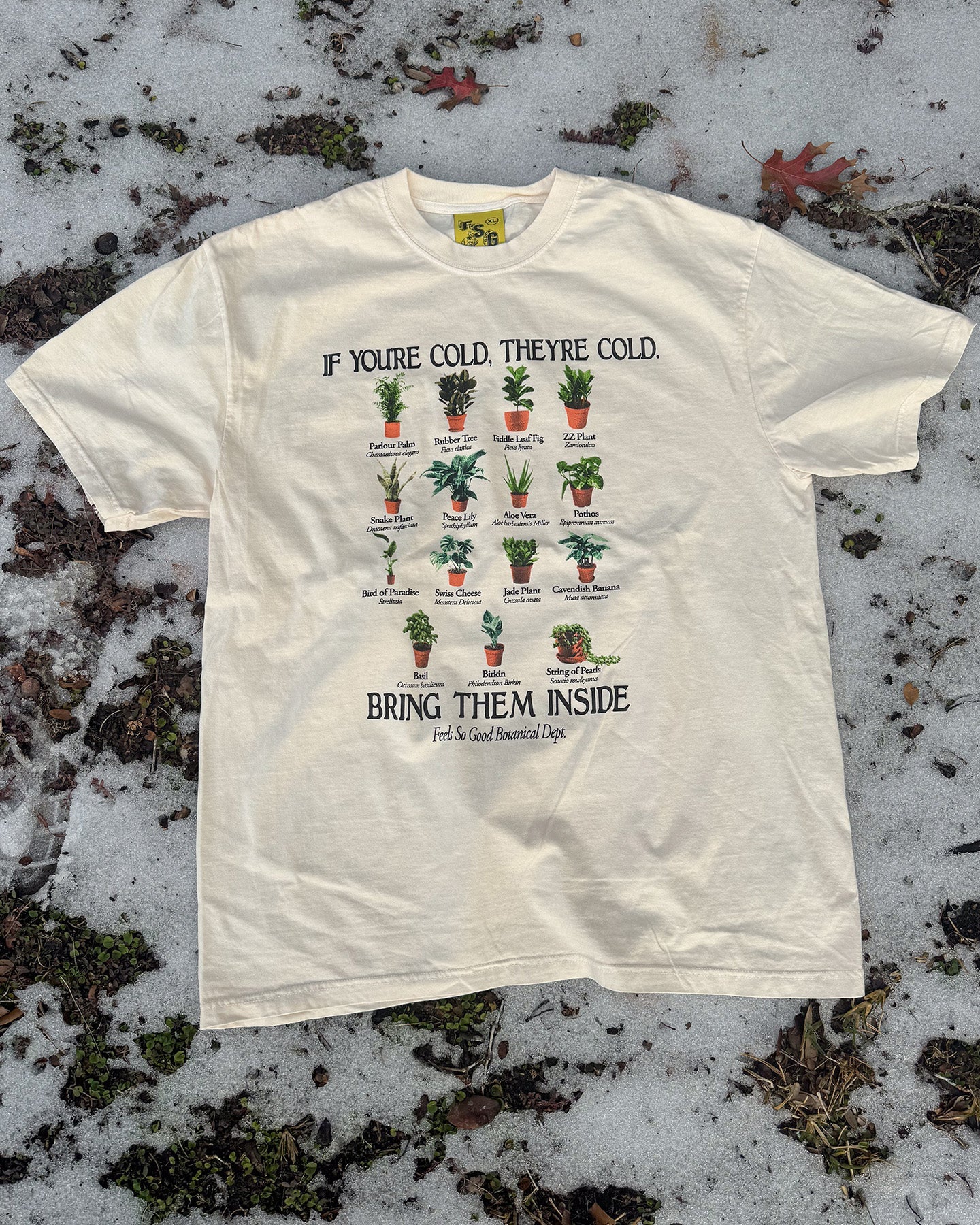 Bring Them Inside