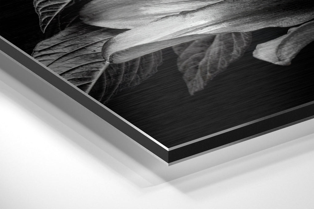 Monochrome Lilies Golden Leaves Brushed Aluminium Dibond Wall Art