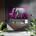 Gray Elephant Magenta Backdrop Brushed Aluminium Dibond Wall Art