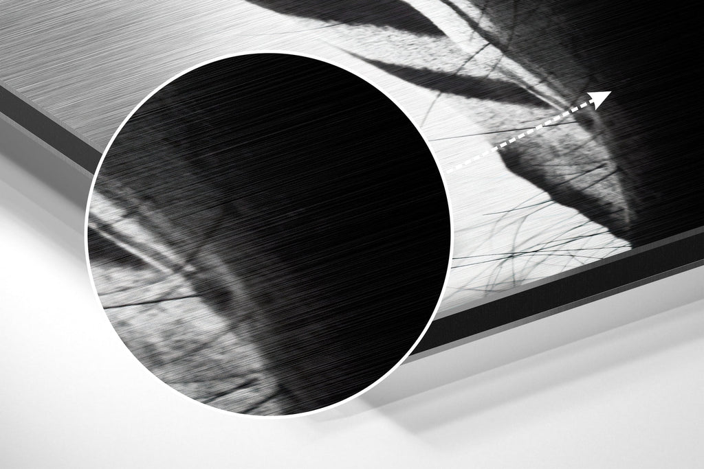 Zebra Face Front Stripes Close Up Brushed Aluminium Dibond Wall Art
