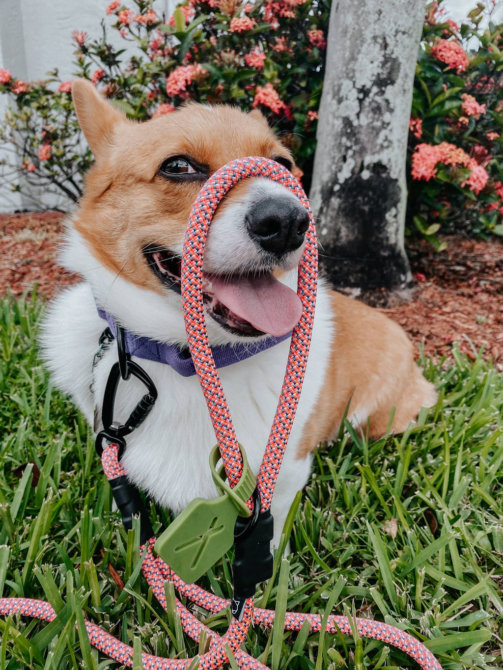 💼 Poop Bag Carrier Attachment