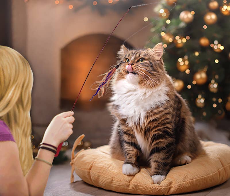🪱🐱 Live Pawsitively Wiggly Wand Worm Cat Toy – Interactive Hunting Wand with Realistic Worm Attachment