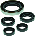 QuadBoss, QuadBoss 06-07 Polaris Outlaw 500 Oil Seal Set – Engine and Transmission Rebuild Kit