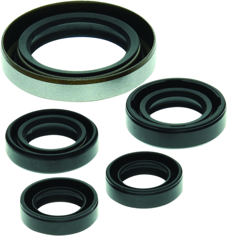 QuadBoss, QuadBoss 06-07 Polaris Outlaw 500 Oil Seal Set – Engine and Transmission Rebuild Kit