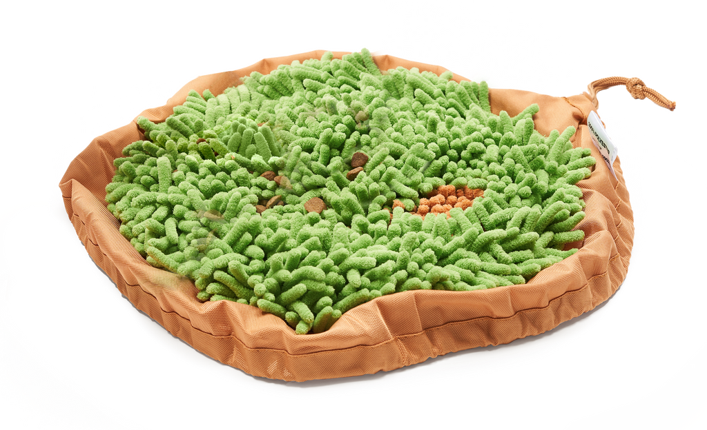 Forager® Bowl w/SoftSnout™