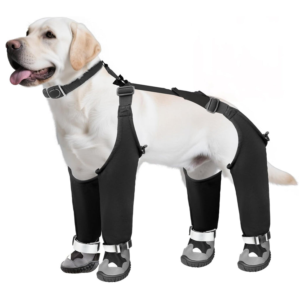 Pet Dog Shoes Outdoor Windproof Warm And Cold-resistant Dog Footwear
