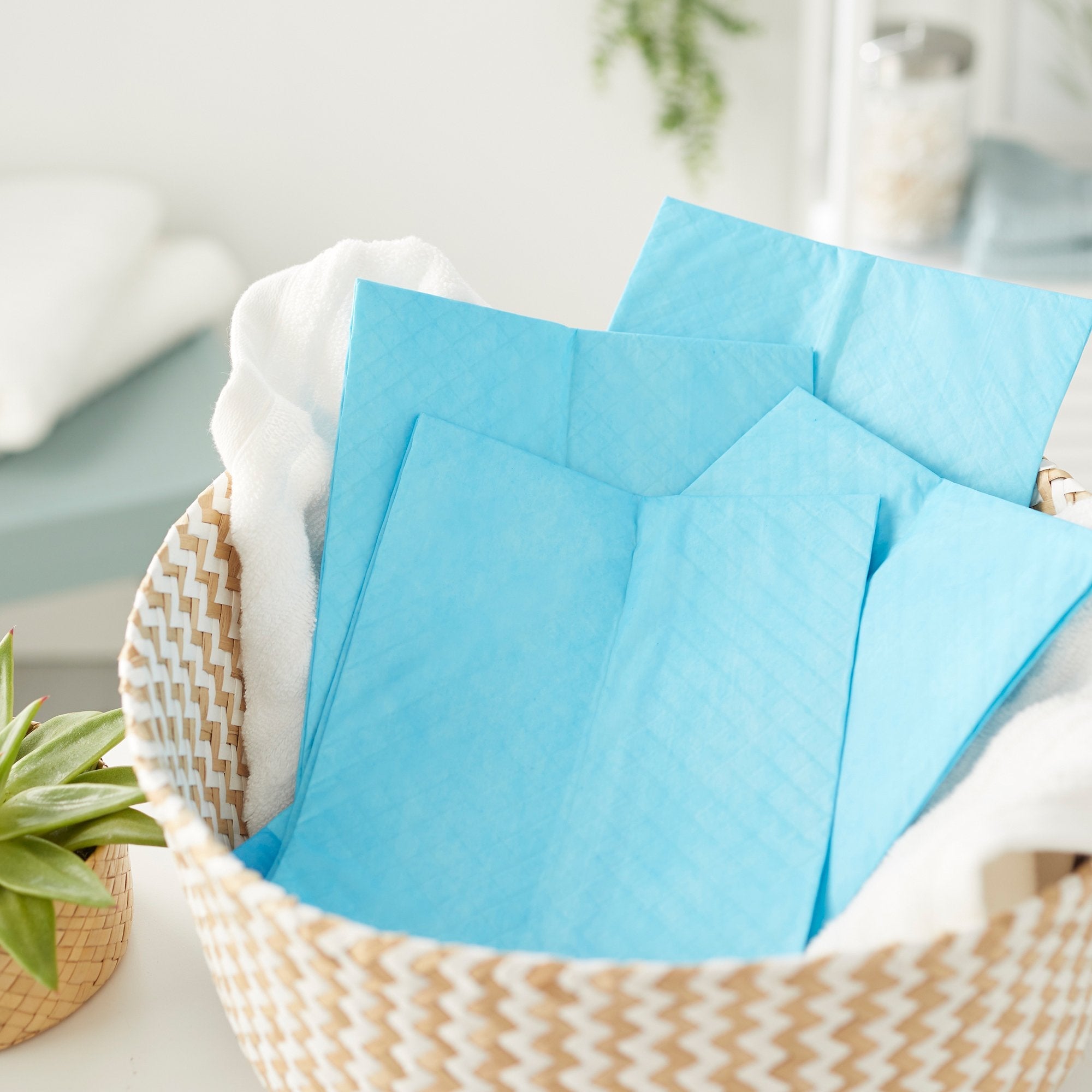 Attends® Care Dri-Sorb® Underpads, 17 x 24 Inches UFS-170