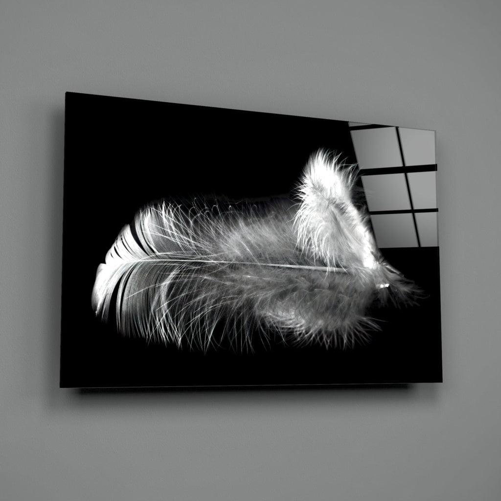 Soft White Feather Black Glass Wall Art