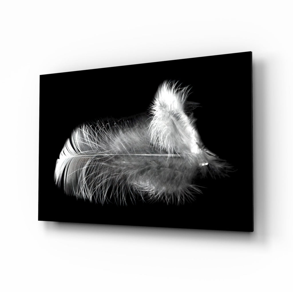 Soft White Feather Black Glass Wall Art