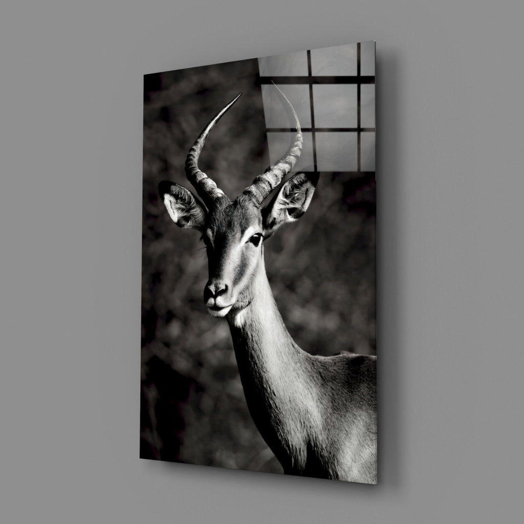 Black and White Impala Portrait Glass Wall Art