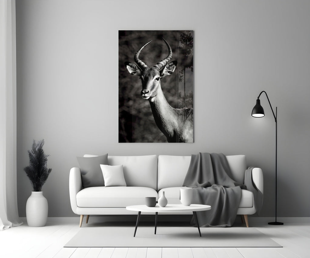 Black and White Impala Portrait Glass Wall Art
