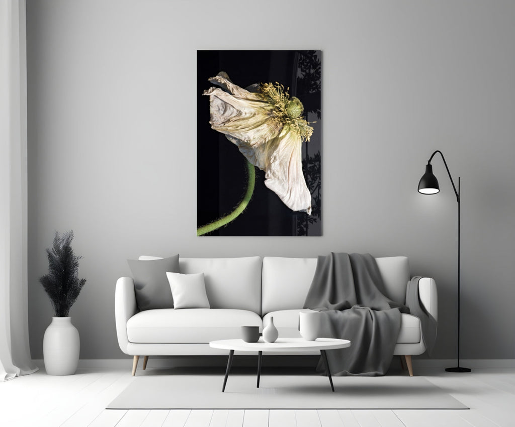 Dried White Poppy Stem Glass Wall Art