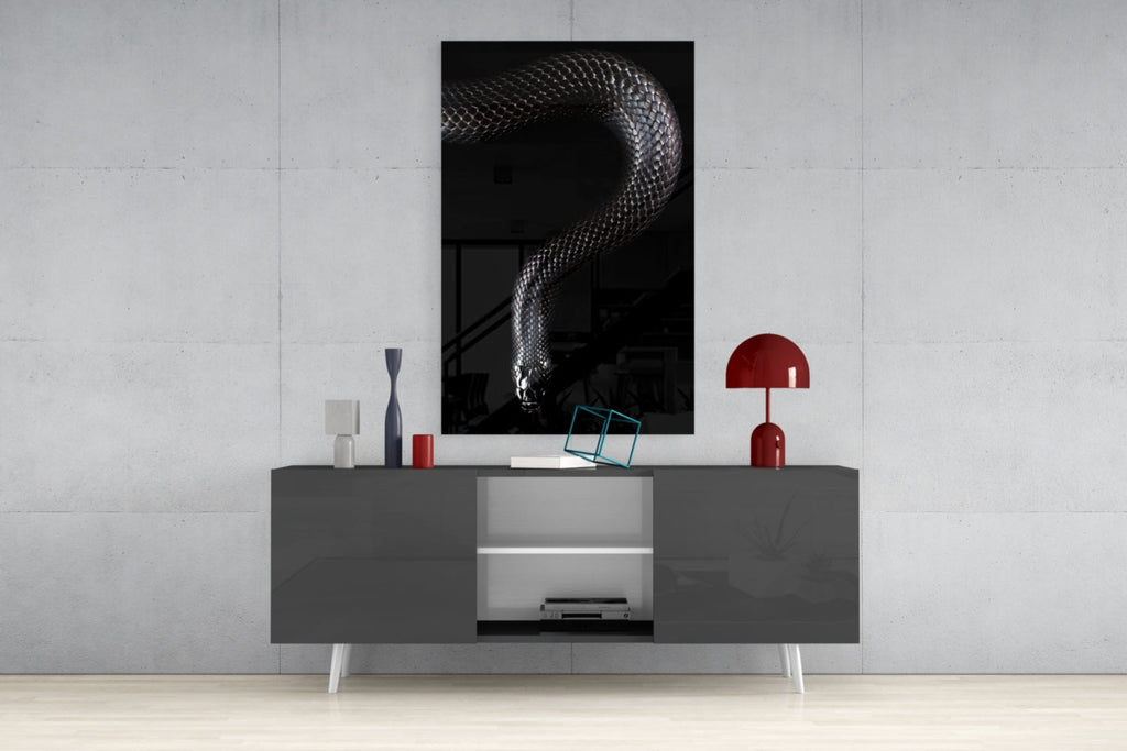 Silver Scaled Snake Descending Dark Glass Wall Art