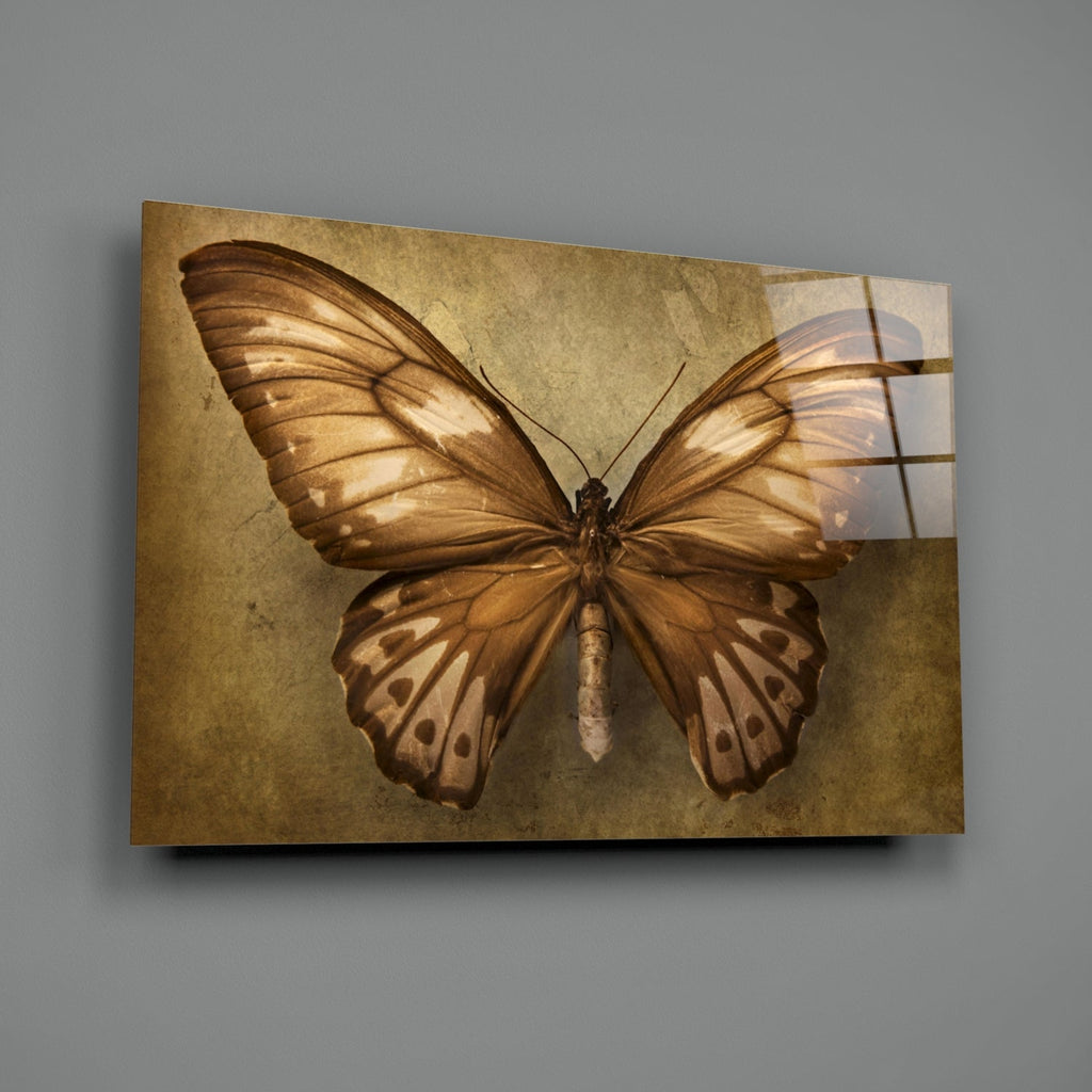 Vintage Sepia Butterfly Glass Wall Art