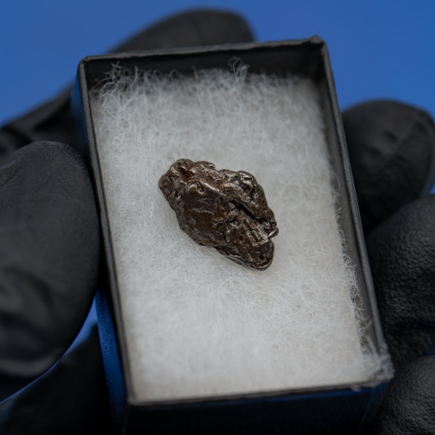 Cosmic Campo del Cielo Mini Meteorite
